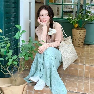 芝加哥警署第六季